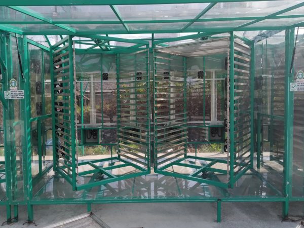 Sấy Tôm Cà Mau