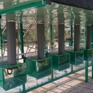 Máy Sấy Tôm Cá Bằng Năng Lượng Mặt Trời