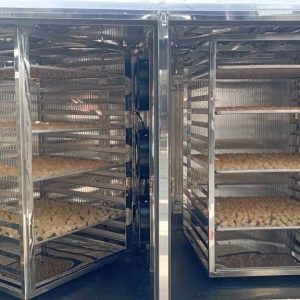 Máy Sấy Trái Cây Mini Bằng Năng Lượng Mặt Trời