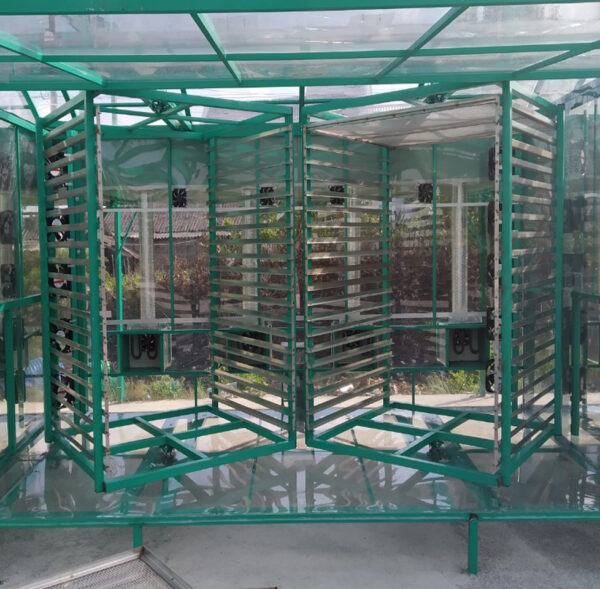 a3 Sấy Tôm Cà Mau