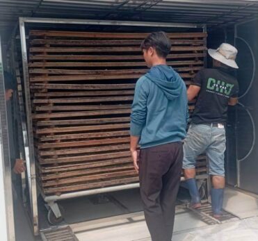 sấy cá sấy cá
