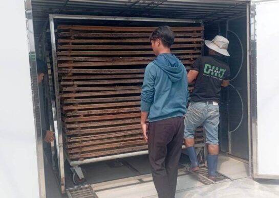 sấy cá sấy cá