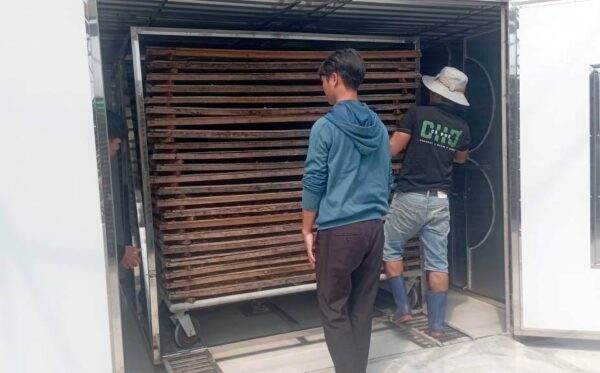 sấy cá sấy cá