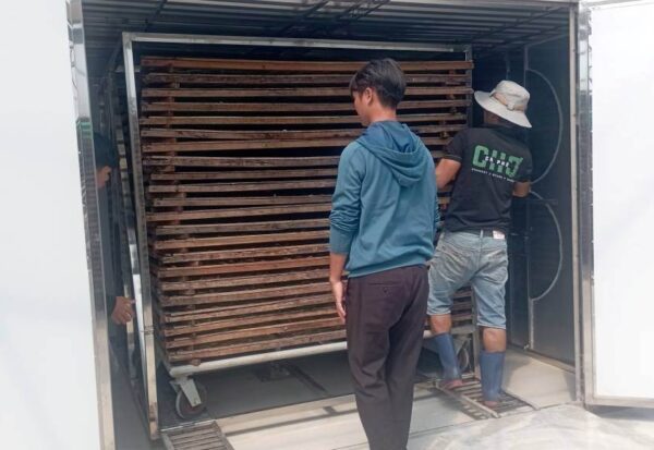 sấy cá