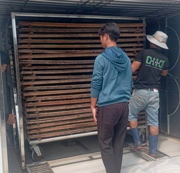 sấy cá sấy cá