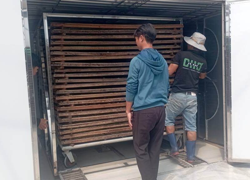 sấy cá sấy cá