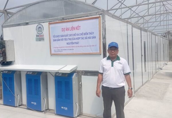 sấy cá chỉ vàng