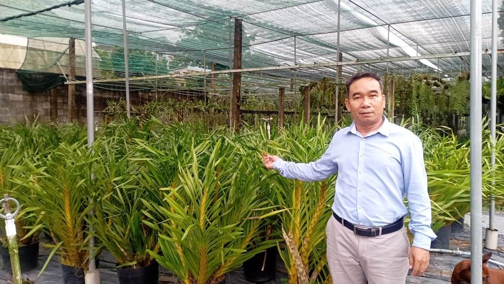 Tủ Sấy Dược Liệu Bằng Năng Lượng Mặt Trời - Ảnh 5