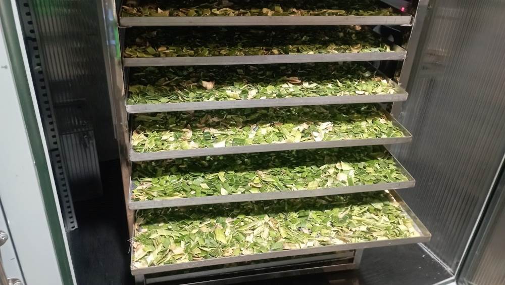 Tủ Sấy Dược Liệu Bằng Năng Lượng Mặt Trời - Ảnh 4