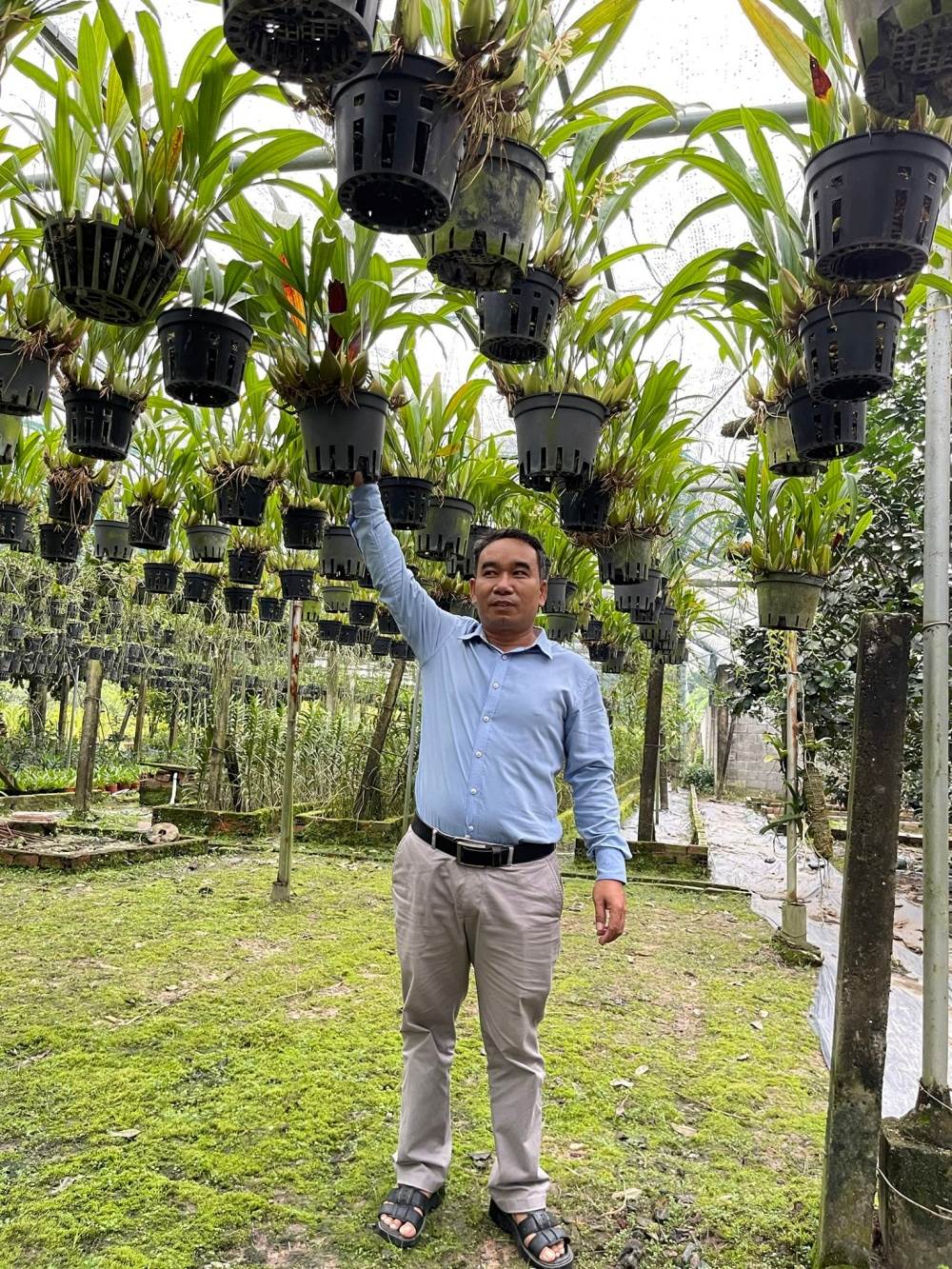 Tủ Sấy Dược Liệu Bằng Năng Lượng Mặt Trời - Ảnh 2