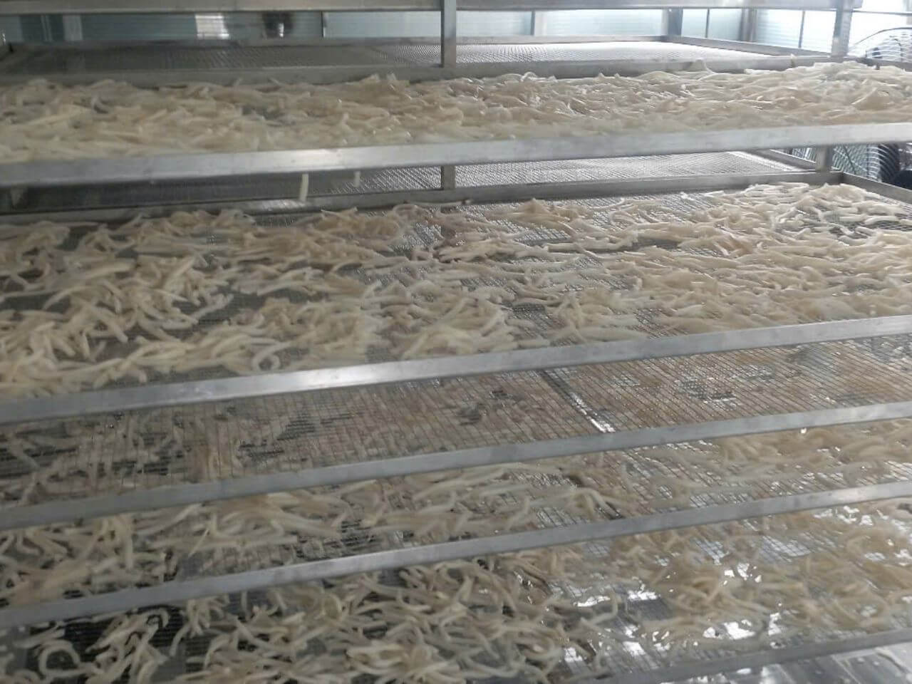 Máy Sấy Thực Phẩm Đa Năng: Sấy Củ Cải, Tôm Khô, Cá Khô Bằng Năng Lượng Mặt Trời - Công Suất 500kg